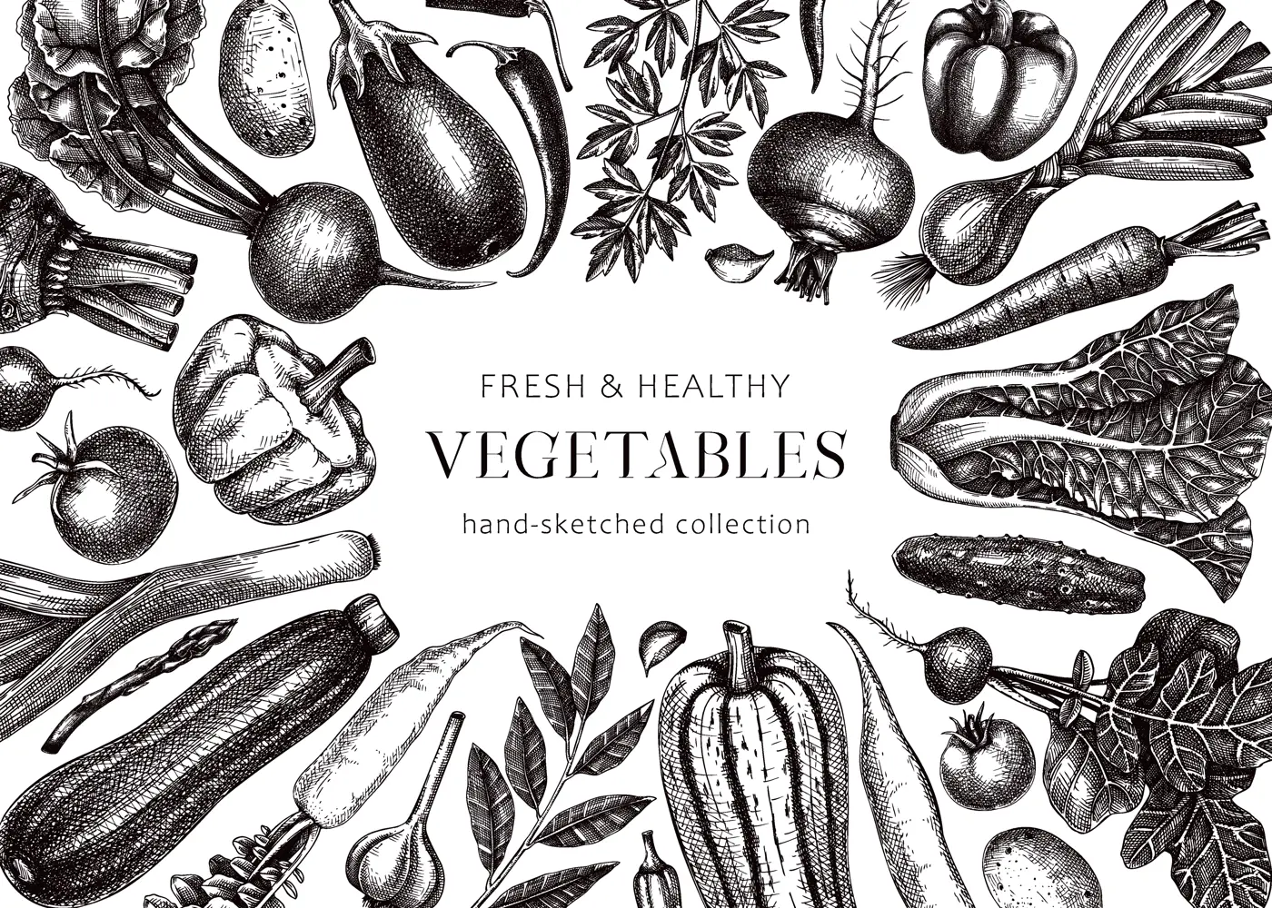 Hand-drawn vegetables vector frame design. Hand-sketched healthy food illustration. Vintage edible plants hand-drawing. Kitchen vegetables banner template in sketched style. For menu or banners Illustration